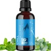 Mint Essential Oil Blend - Refreshing Mint Oil Diffuser with