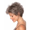 Gabor Conviction Wig (G19+ Praline Mist)