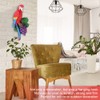 Wall Mounted Simulation Parrot Decor Hanging Hook Resin Craft Home