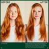 Aveda Cherry Almond Softening Shampoo | Adds Softness and Shine