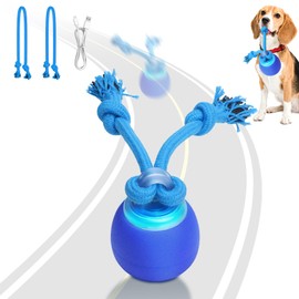 Saolife Interactive Dog Toys with Motion Activated, Squeaky Dog Toy Active Rolling Ball for Puppy and Medium Dogs, USB Rechargeable, Wicked Ball