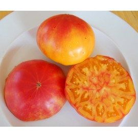 Pineapple Heirloom Tomato Seeds- 30+ Seeds