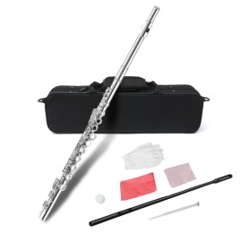 Yinfente 16 Hole Flute with Case C key Closed hole Nickel Silver plated for student,adult