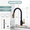 Black and Gold Kitchen Faucet with Sprayer, WOWOW Kitchen Sink