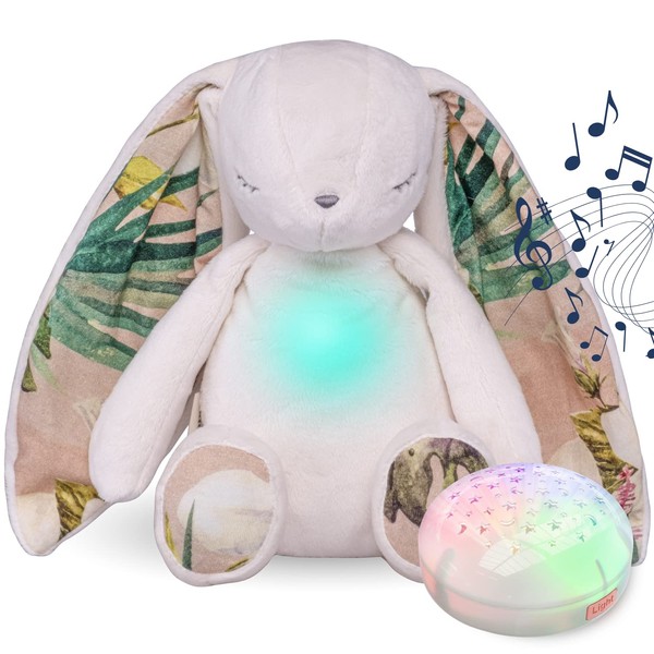 Diddou White Noise Machine Baby Newborn Toys Baby Sleep Night Light Teddy Shusher Newborn Girl Boy Toys Shower Gifts USB Rechargeable