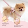 Jasonwell Pechera para Gato Arnes - Arnes para Gato Collar