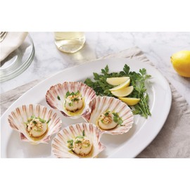 Nantucket Seafood Natural Baking Sea Shells, 5-Inch, Set of 4