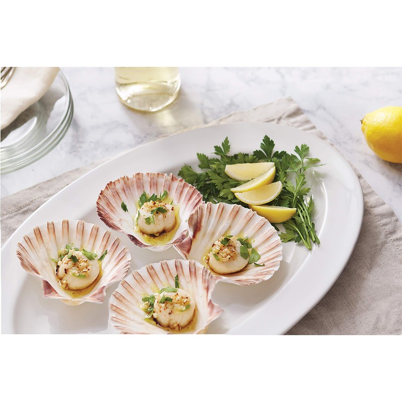 Nantucket Seafood Natural Baking Sea Shells, 5-Inch, Set of 4