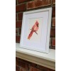Red Cardinal. Print of an original watercolor painting. 5x7"with white