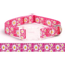 Pimaodog Girl Dog Collars with Daisy Patterns, Cute Pink Dog Collar for Female Dogs, Adjustable Soft Durable Pet Collars for Cat Puppy XS Small Medium Large Dogs (Hot Pink, XS (Neck 7"-10"))