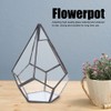Stylish Geometric Shape Flowerpot Glass Plant Planter Succulent Plants Container