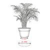 ZZPYXIA 4 Pack 12 inch Black Plastic Plant Sauce- Plant
