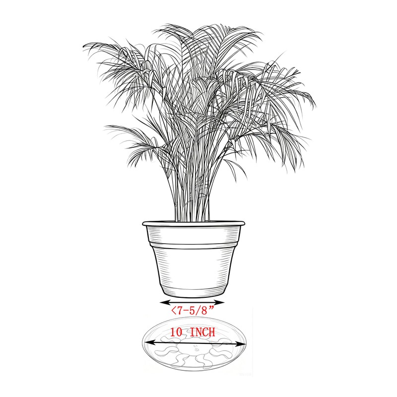 ZZPYXIA 4 Pack 12 inch Black Plastic Plant Sauce- Plant