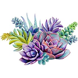Beautiful Desert Succulent Plant Arrangement Art - Spring Vinyl Decal Sticker (8" Wide)
