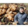 Kikuimo Powder Produced in Miyazaki Prefecture, No Pesticides, Sterile Powder
