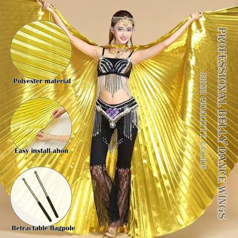 Women Adult Egyptian Professional Belly Dance Costume isis Wings 360