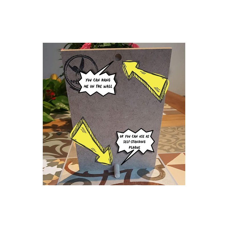 Friends TV Show Quotes Plaque, Family Rules, Present Self standing