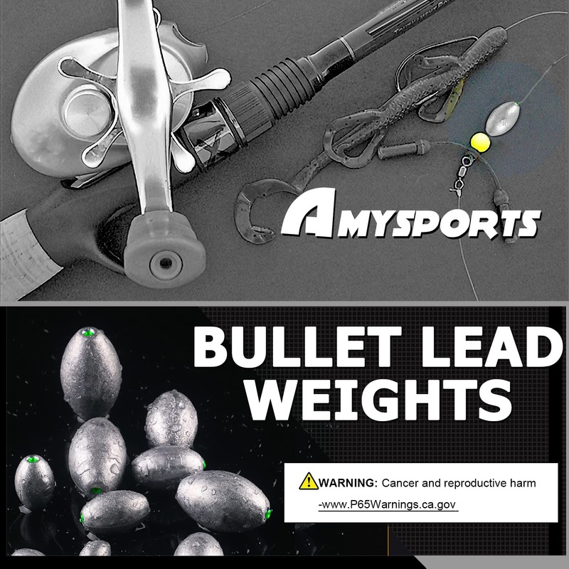 AMYSPORTS Egg Lead Fishing Weights Kit Drop Bass Weights Sinker