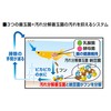 GEX Medaka Invigorating Probio Food Clear, Formulated with Good Bacteria