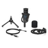 Behringer D2 Podcast PRO Large Diaphragm Dynamic Podcast Microphone