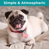Dog Tag Clips, Stainless Steel Heavy Duty Ring Pet Tag