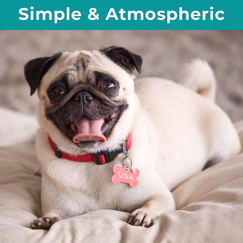 Dog Tag Clips, Stainless Steel Heavy Duty Ring Pet Tag