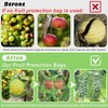 Reallnaive 120 Pcs Fruit Protection Bags 3 Size Green Mesh