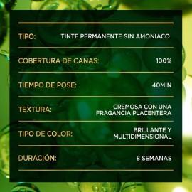 Tinte Garnier Óleos Nutrisse Óleos tono negro 1.0 60Vol. para cabello