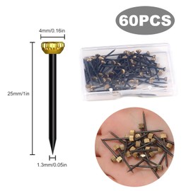 60pcs Picture Hanging Nails - Brass Head Masonry Pin Nails with Storage Box, Durable Wall Picture Pins for Hanging Pictures, Photo Frames, and Decorations