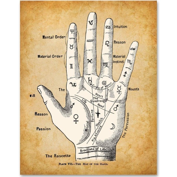 Palm Reading Divination Chart - 11x14 Unframed Art Print - Great Decor and Gift for Fans of Palmistry and Astrology Under $15
