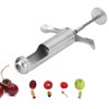 Fruit Corer for Red Dates Hawthorn Grape, Core Remover Fruit