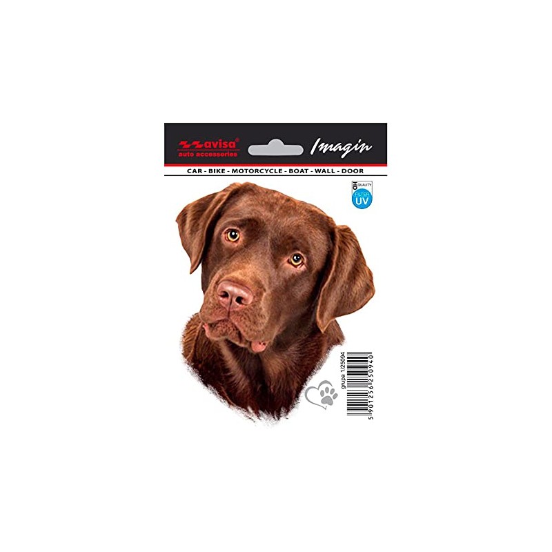 Avisa AutoTattoo Sticker Labrador 11 x 13.2 cm