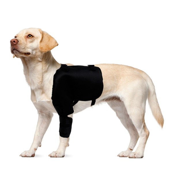 ABLAZEZAI Pet Leg Joint Wrap Protector for Dogs, Adjustable Dog