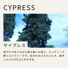 Tree of Life Cypress Essential Oil 10ml AEAJ Certified Essential Oil Essential Oil Aroma Oil Natural Herb