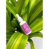 Guinot Serum Hydra Cellulaire Facial Oil, 0.88 Ounce