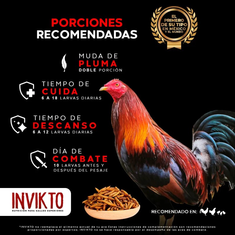 Suplemento Para Gallos De Pelea Alimento Proteína Insecto 1k