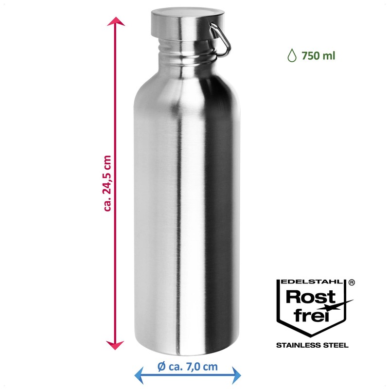 Robin Goods® Stainless Steel Drinking Bottle with Handle – High-Quality