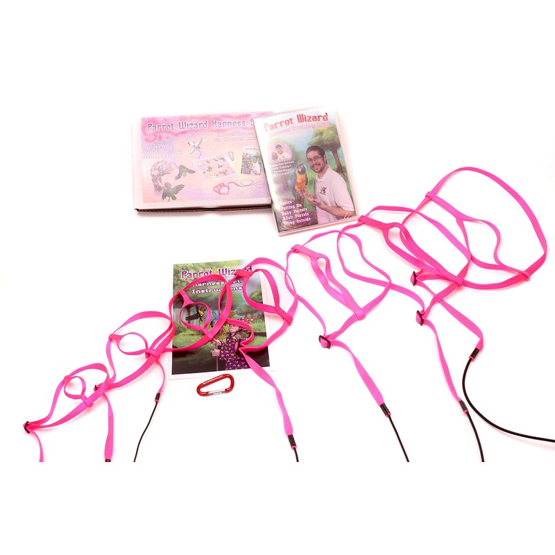 Parrot Wizard Bird Harness Set (Medium, Blue)