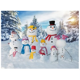 DHXXSC 7X5FT Xmas Backdrop Winter Snow Backdrop Woods Snow Photo Backdrop Snowman Photography Backdrop Christmas Background DH-149