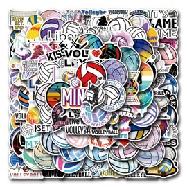 Bric Dodo Pack of 100 Cute Volleyball Stickers Car Laptop Phone Guitar Skateboard Motorcycle Bicycle Sports Stickers Set Vinyl Waterproof Aesthetic Stickers for Teenagers Children Adults