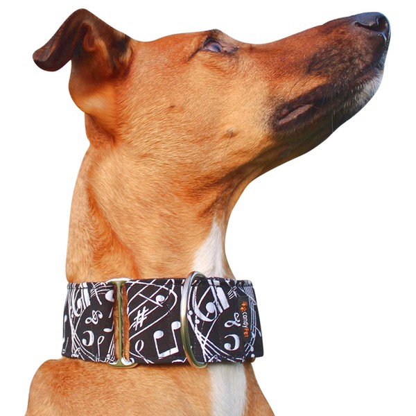 CandyPet Martingale Dog Collar