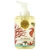 Michel Design Works Sea Breeze Foaming Shea Butter Hand Soap