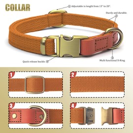 Qianruida Dog Collar and Leash Set Tactical Collar Leash Set Dog Leash and Collar Set Adjustable Dog Collar with Dog Leash Dog Collar for Small Medium Large Dogs- Orange,M