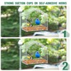 Window Bird Feeder with Strong Suction Cup and Self-Adhesive, Clear