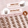 Mavphnee Brown Eyelash Clusters Wispy Lash Extension Cluster Natural Individual