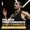 BIRDMAN Falcon Performance Vegan Protein Powder, 31g Protein, 5g Creatine,