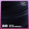 Clairol Bold & Bright Permanent Hair Dye, 28 Wild Blackberry