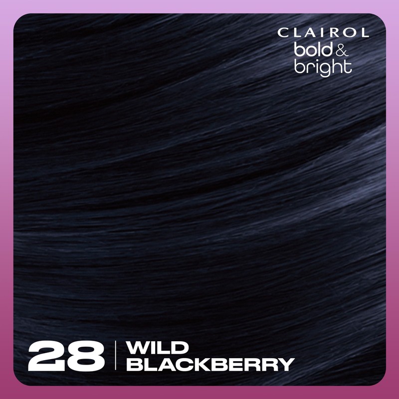 Clairol Bold & Bright Permanent Hair Dye, 28 Wild Blackberry
