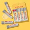 Bert Bees 버트 비즈 립밤 보습 케어 100 천연 성분
