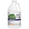 Single Seventh Generation Professional Non Chlorine Bleach, Free and Clear,